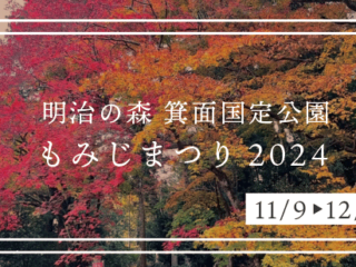 明治の森箕面国定公園 もみじまつり2024