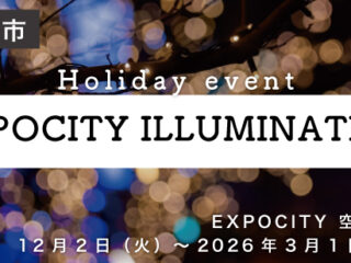 EXPOCITY ILLUMINATION