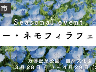 ポピー・ネモフィラフェスタ