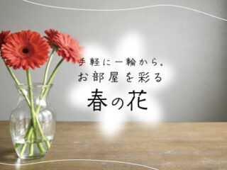 手軽に一輪から。お部屋を彩る春の花。